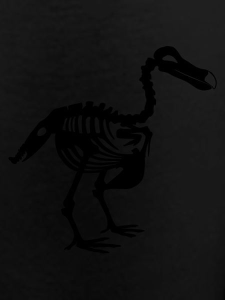 Dodo