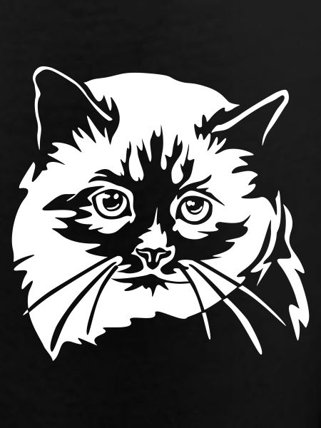 Birma Katze "Black Edition"