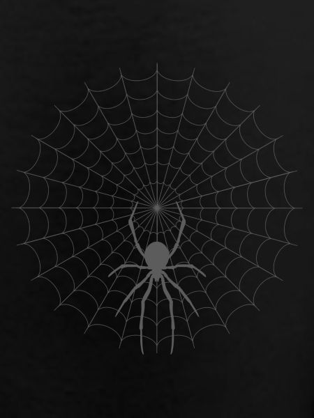 Spider Web Silhouette