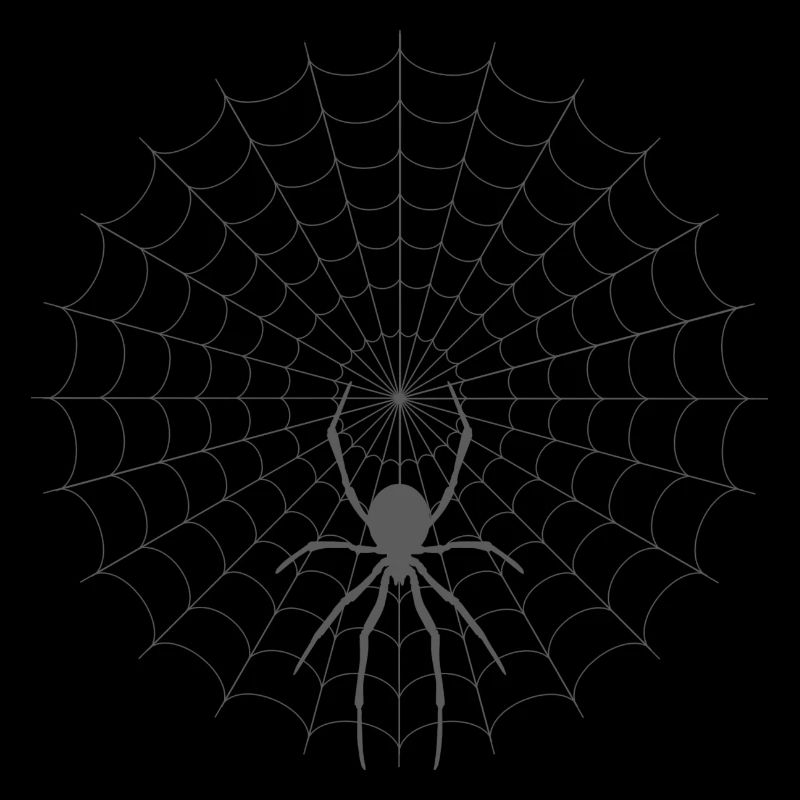 Spider Web Silhouette