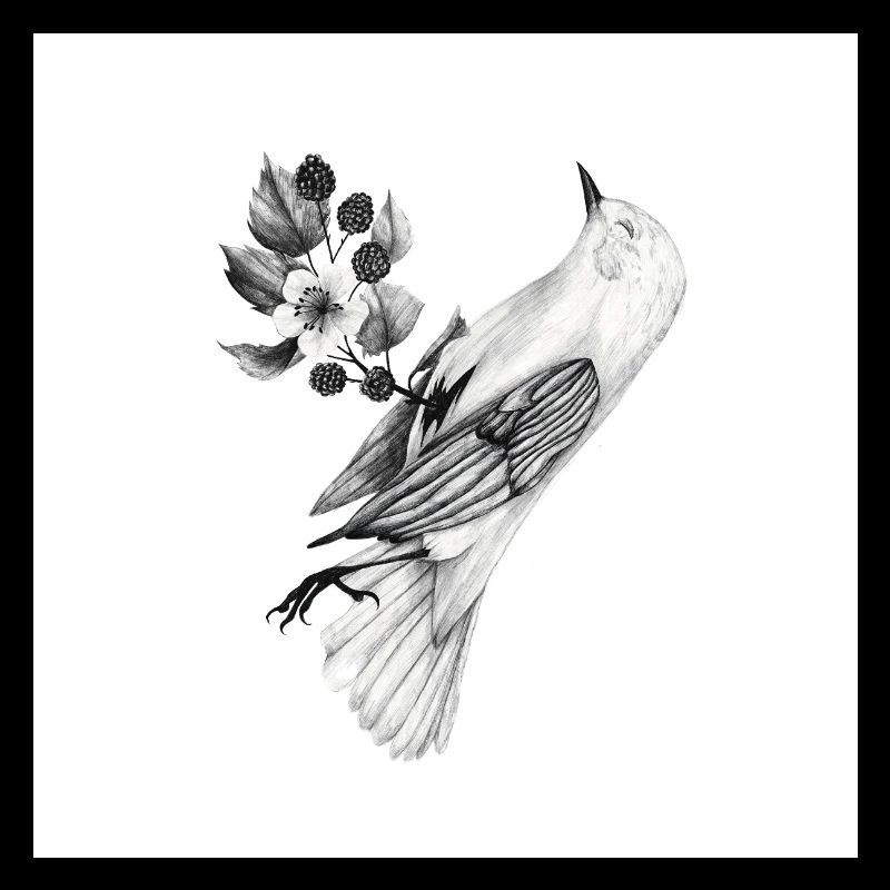 Bird with plants