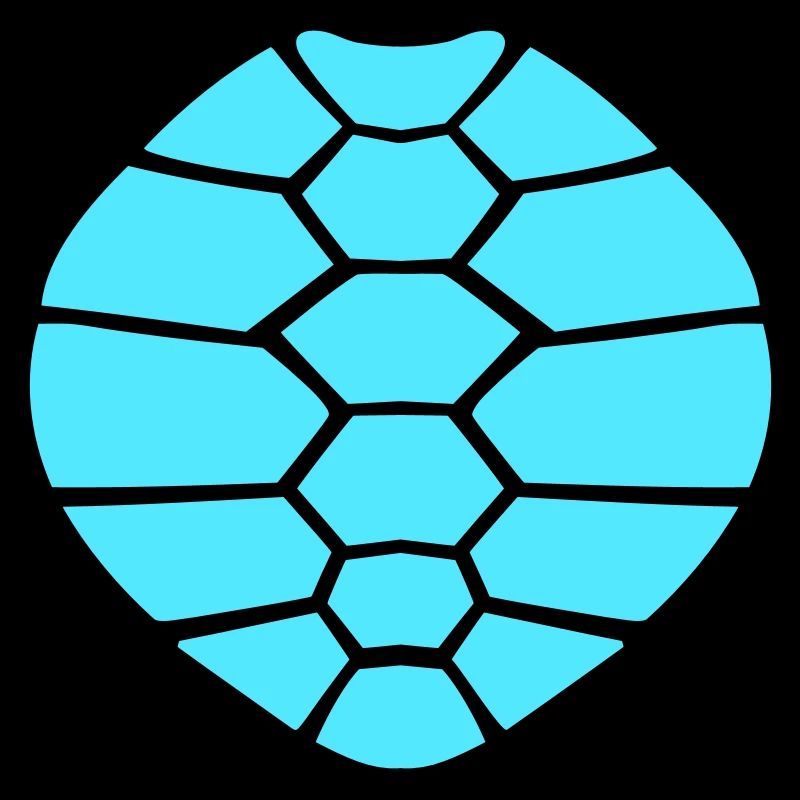 Turtle shell pattern turtle icon cool