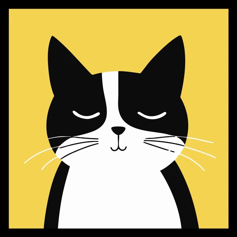 Chat noir et blanc minimaliste