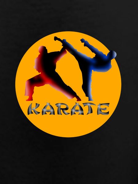 Kampfkunst Dynamik Karate Silhouette