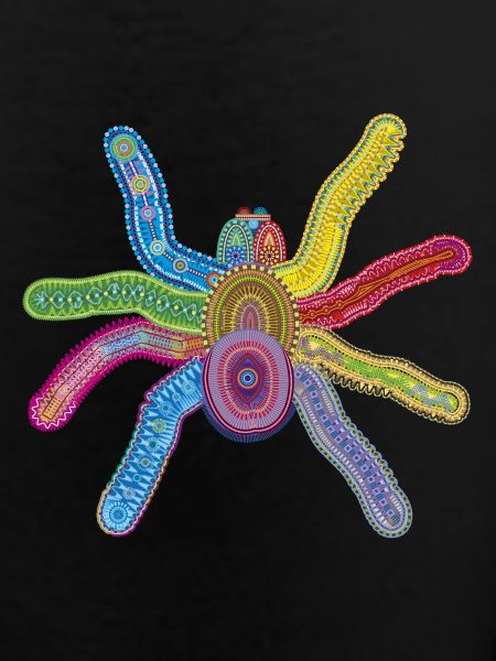 Deep Sea Spider