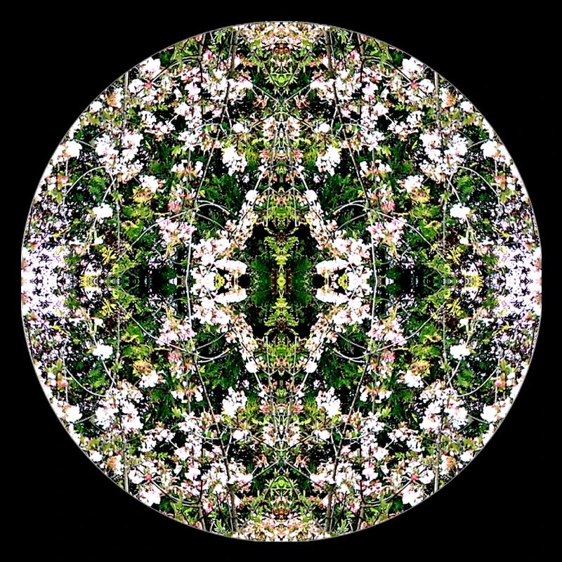 Source du Mandala de la Nature à Nuremberg