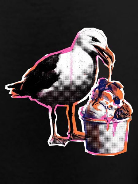 Möwe Isst Eis