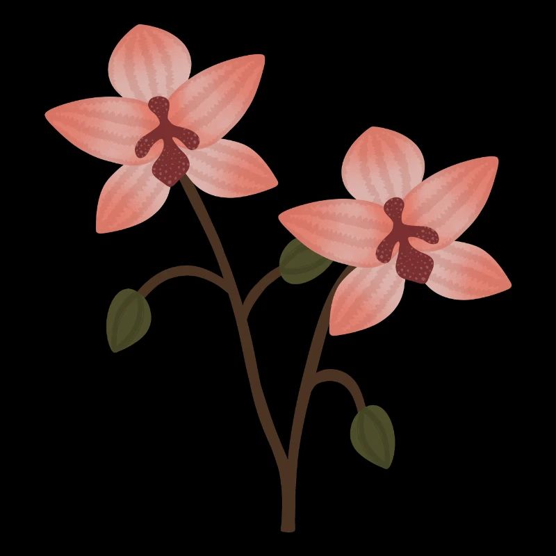 Fleur d’orchidée pastel