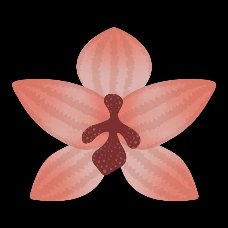 Fleur d’orchidée pastel