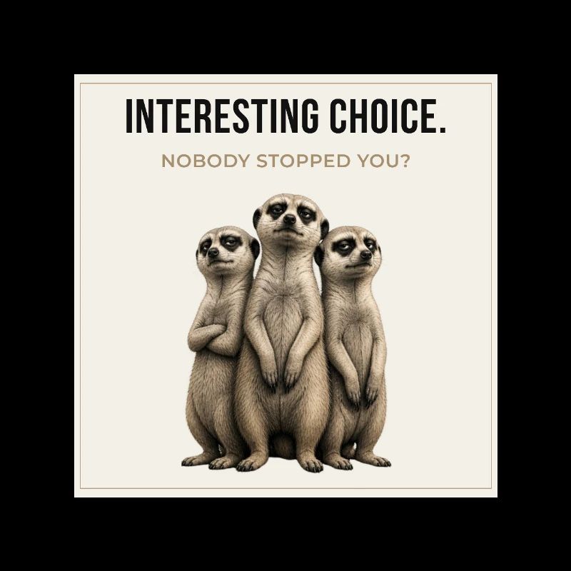 Trio de suricates à choix intéressant