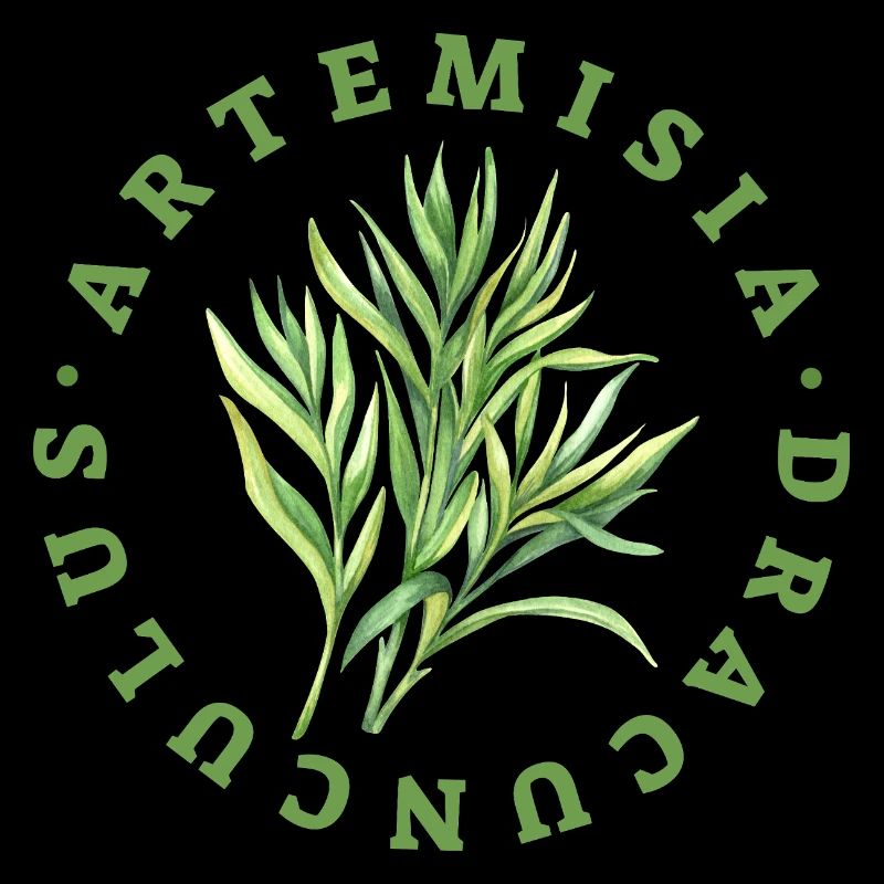 Artemisia Dracunculus Leaf Emblem