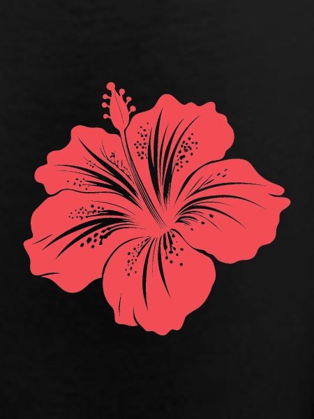 Fleur d’hibiscus