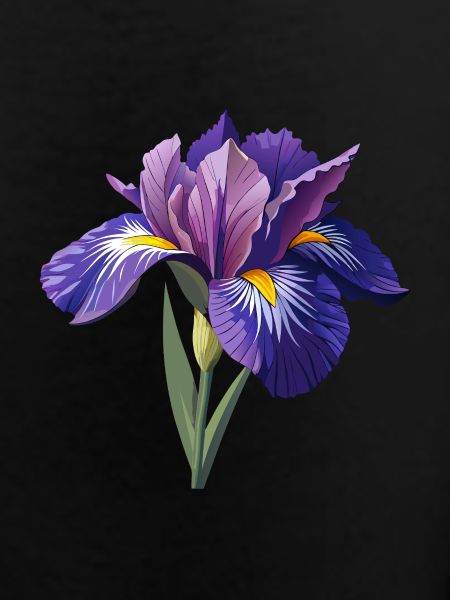 Irisblume