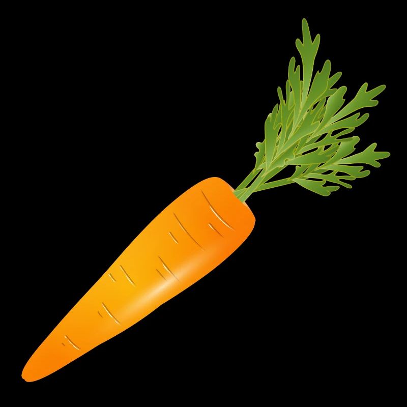 Bright orange carrot with green