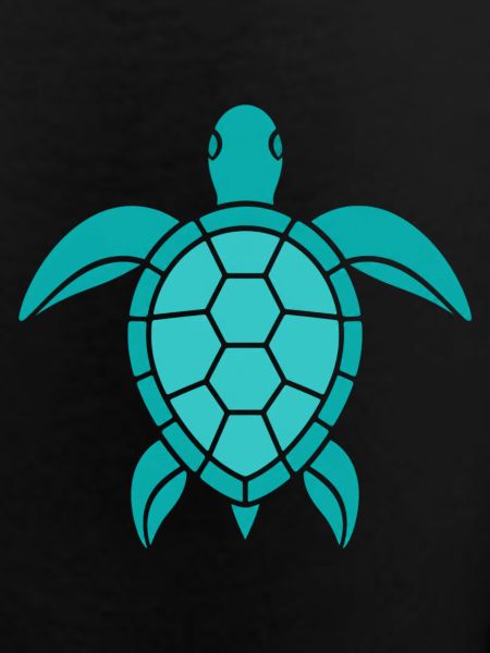 Turtle Pattern