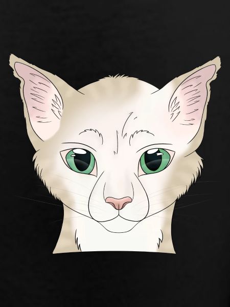 Cat white beige