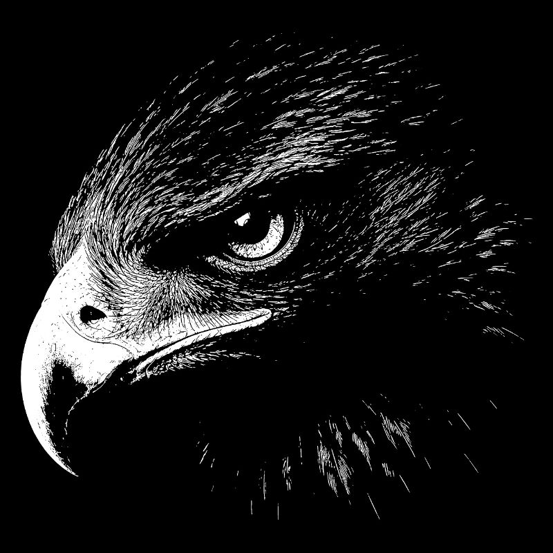 Golden eagle