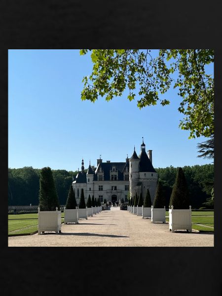 Castle of Chenonceau