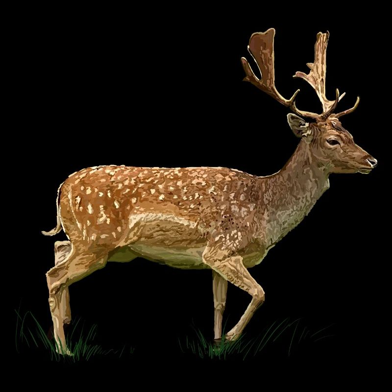 Cerfs dans la forêt d’herbe