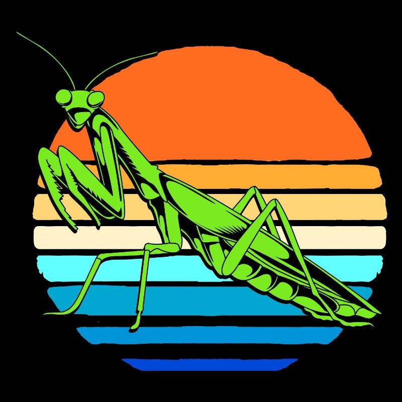 Gottesanbeter Gottesanbeterin Mantis