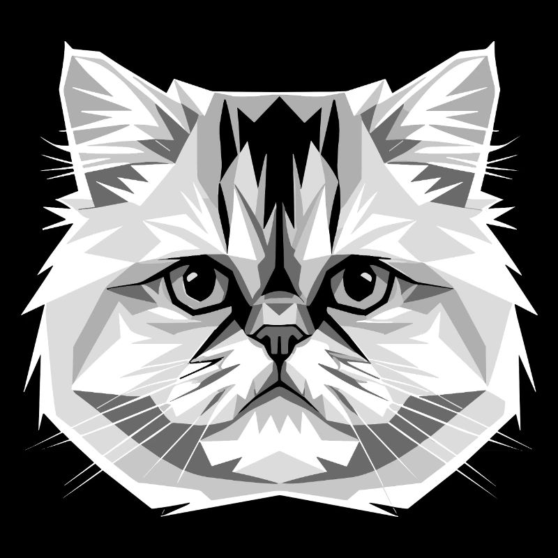 Chat perse Chat persan Chat persan Chat perse Chats mignons