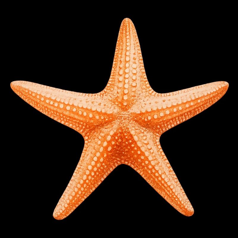 Conception de la plage Orange Starfish
