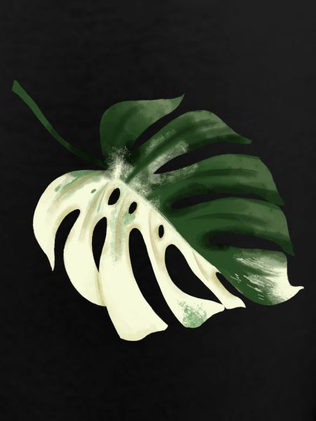 Conception premium Monstera