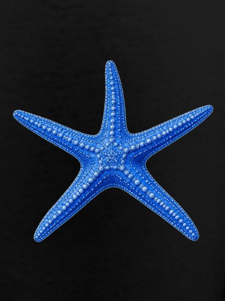 Blauer Seestern