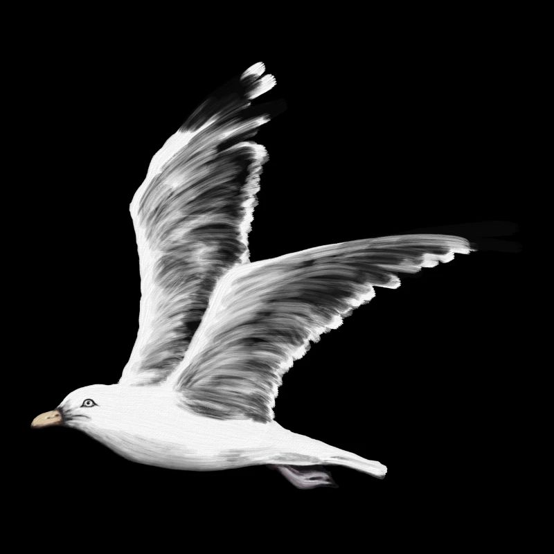 gull