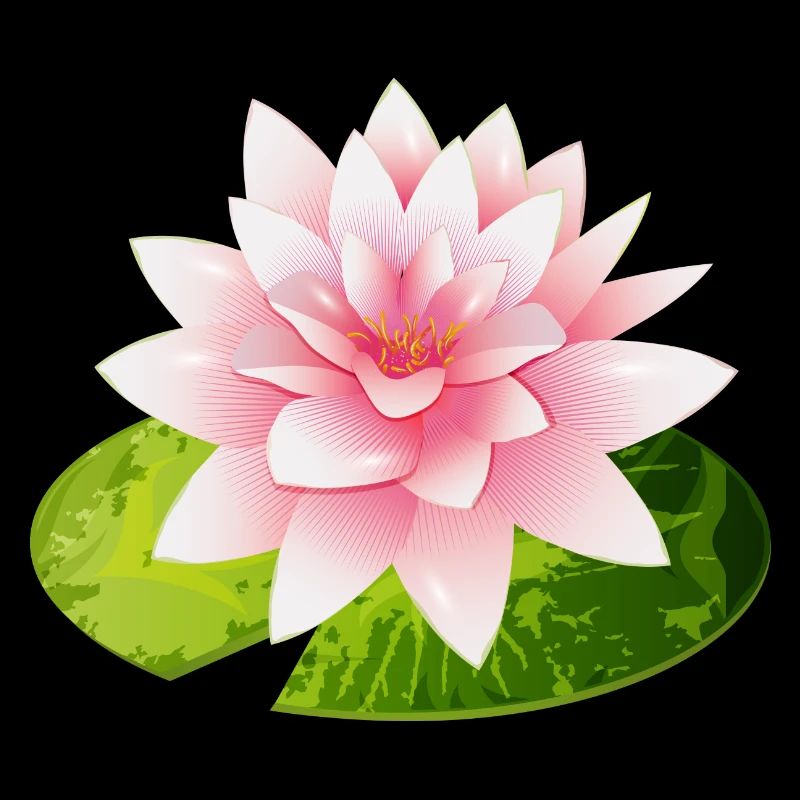 nénuphar brillant avec pétale de nénuphar vert