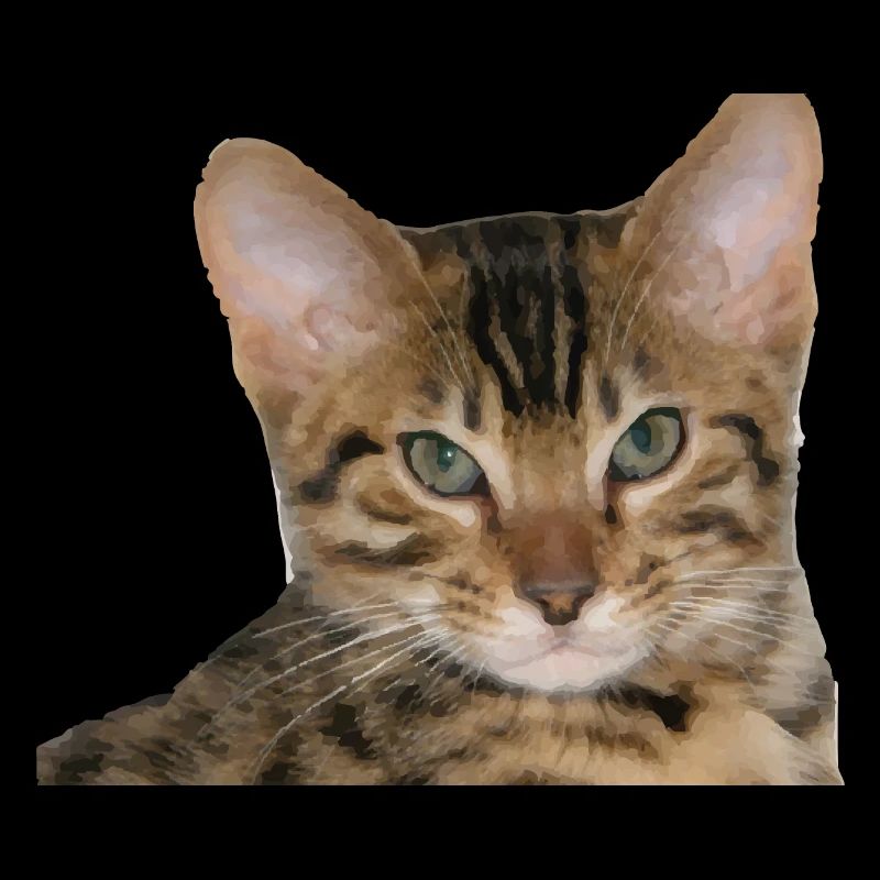 J’aime mon chat guépard