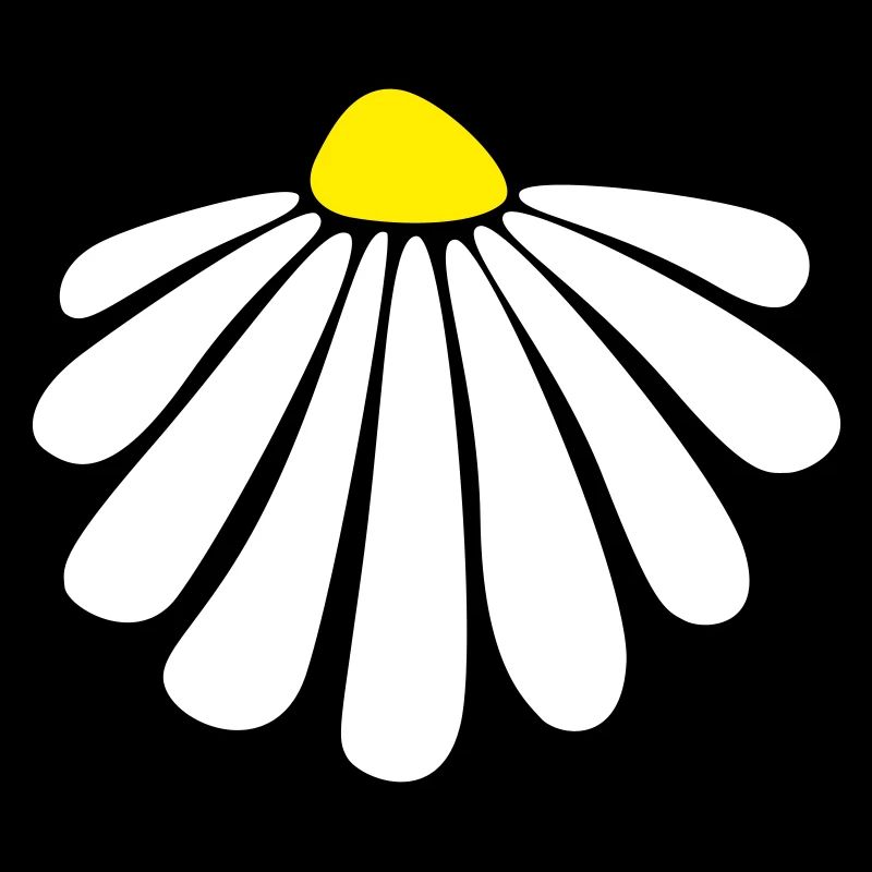 Blume Energie Margarithe Blüte Sommer Natur