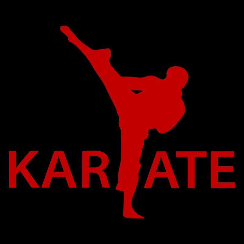  Karate Kick Silhouette
