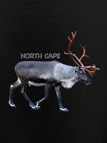 NORTH CAPE
