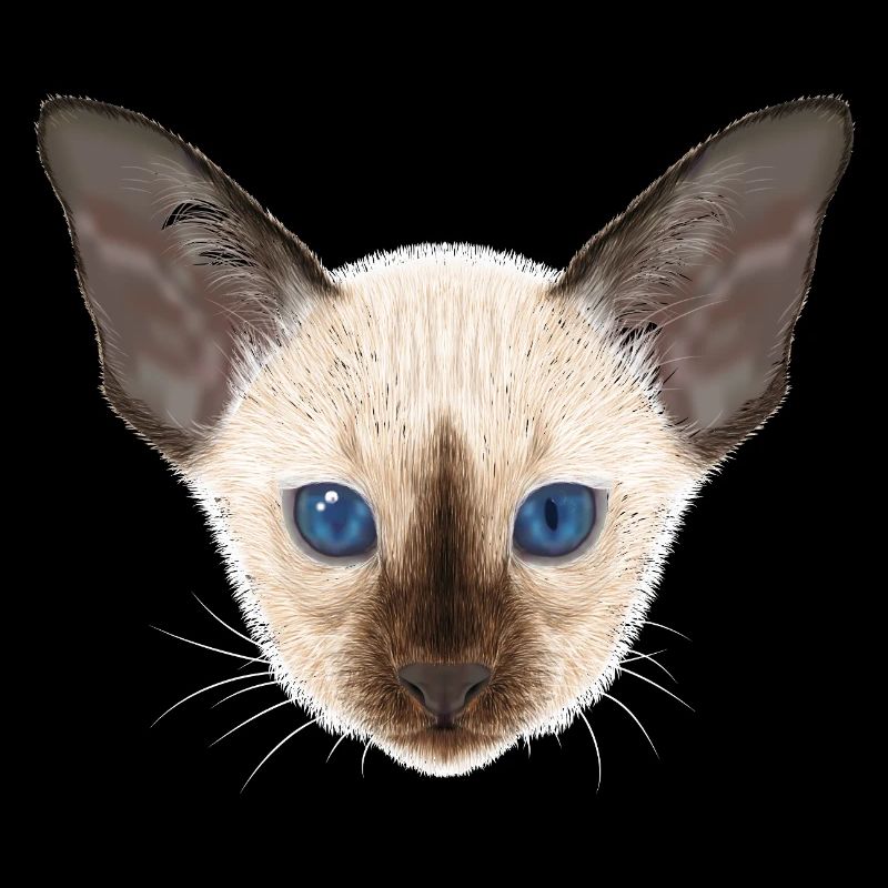 Siamese cat