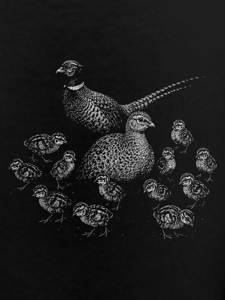 Pheasant