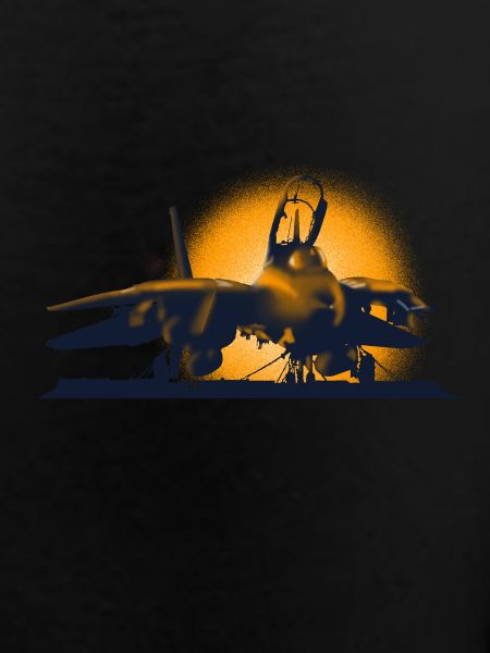 Jet F-14 Tomcat