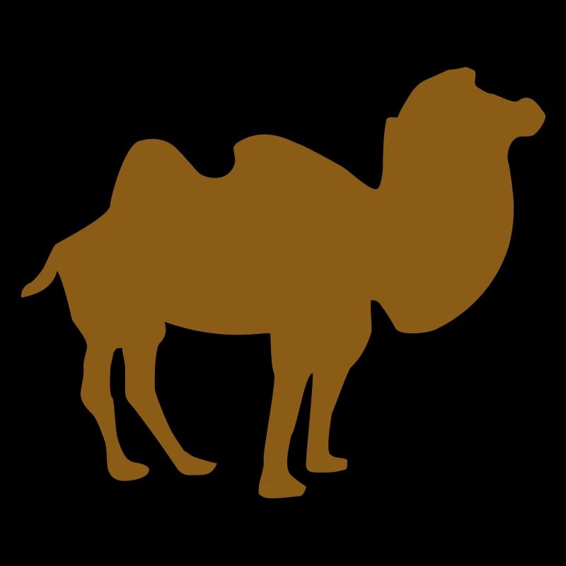 Camel