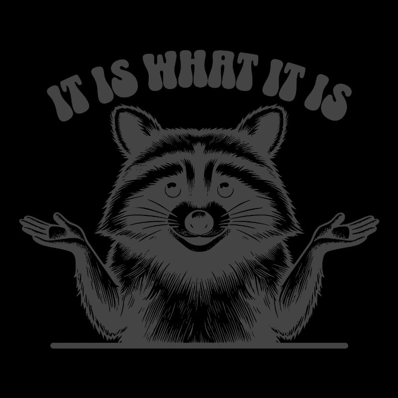 Raccoon - C’est ce que c’est