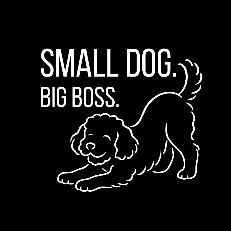 Zwergpudel, Malti-poo oder Königspudel 