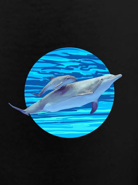 Dolphin