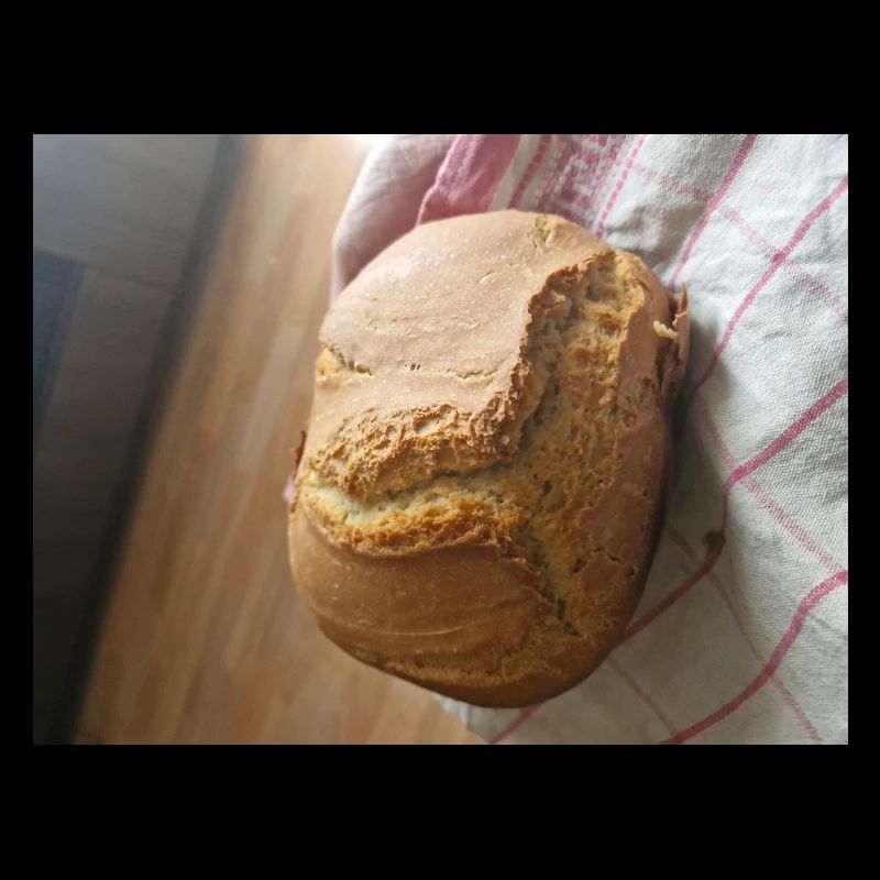 Golden crust rustic bread