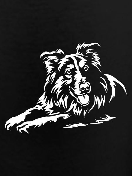 Collie "Black Edition"
