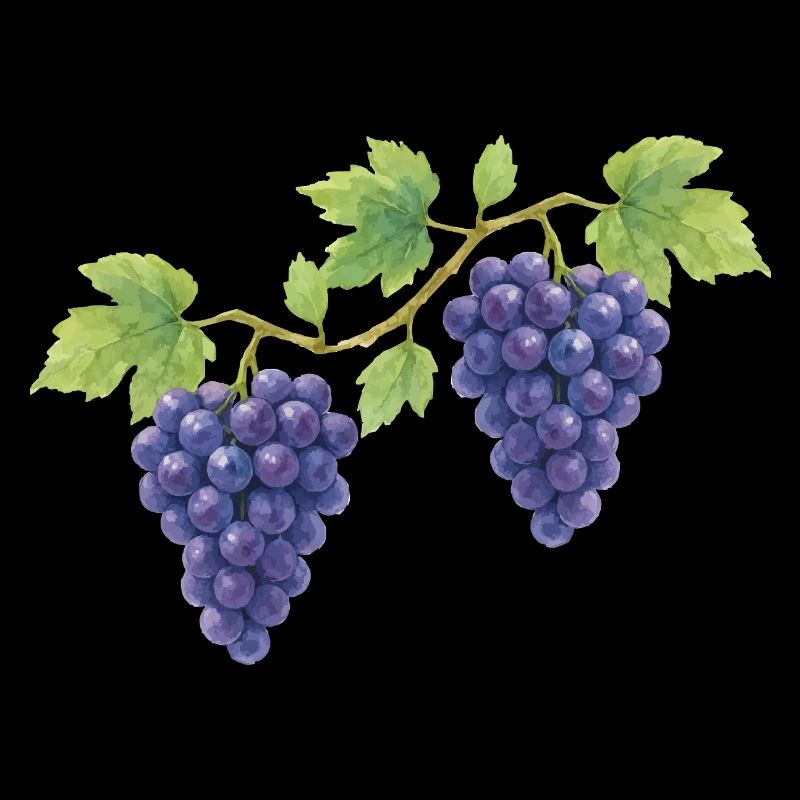 Grape traditional costume design