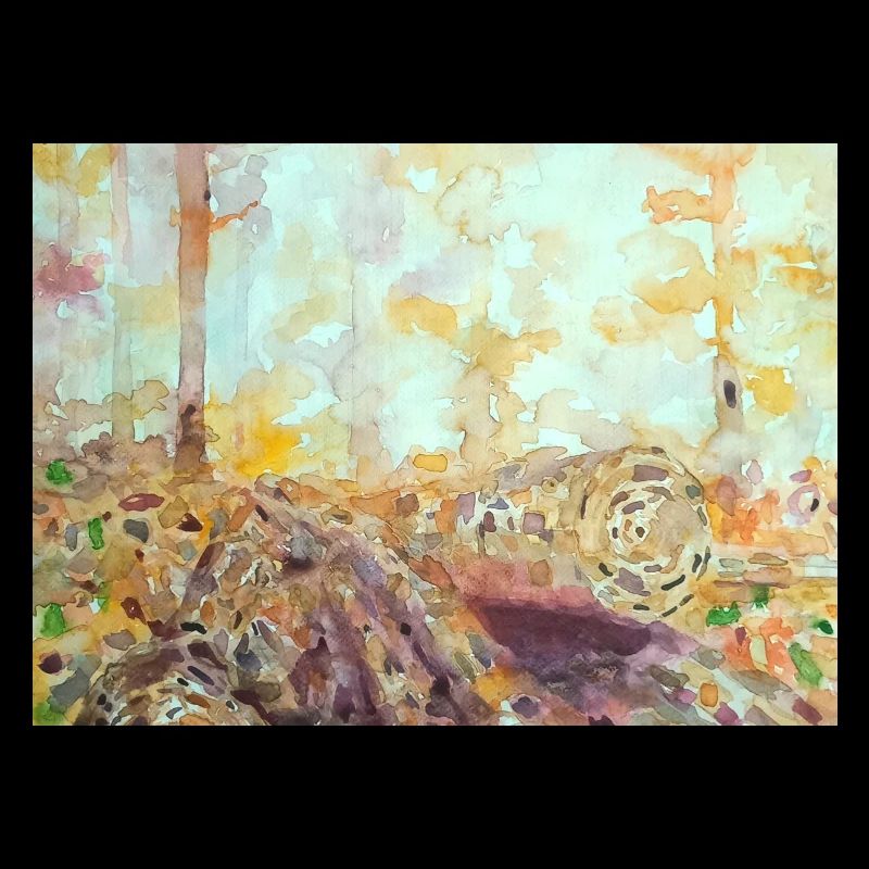 Paysage aquarelle forestier automne
