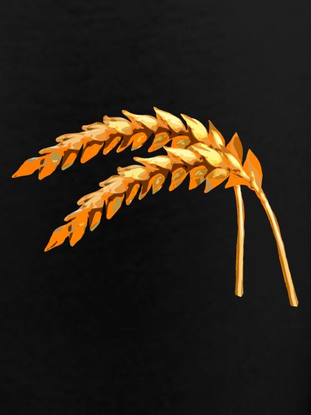 grain
