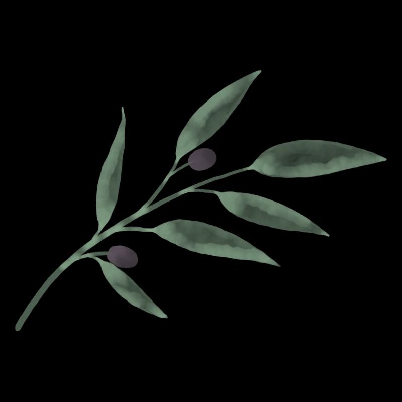 Olive Branch