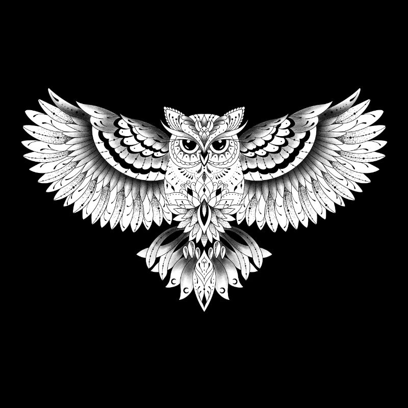 Eule dekorative Eule Zeichnung,