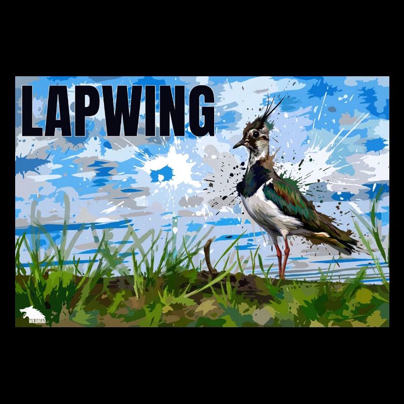 LAPWING