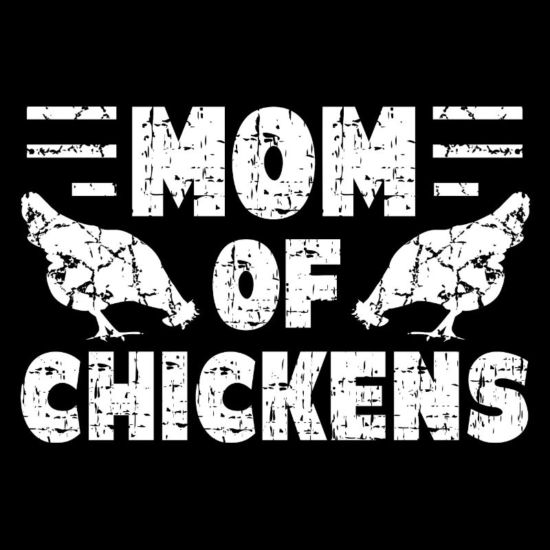 Chicken chickens